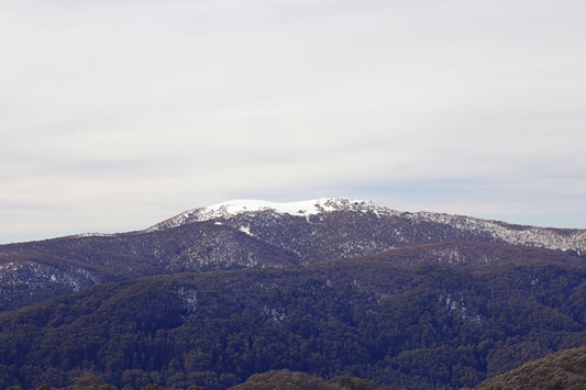 Socialite faces court over alleged Mount Buller drink spiking