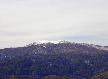 Socialite faces court over alleged Mount Buller drink spiking